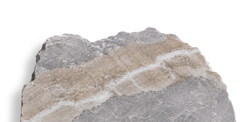 TIMBER Texture
